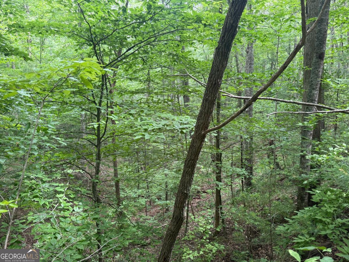 1 Ac Spiva Cove Circle Property Photo 1