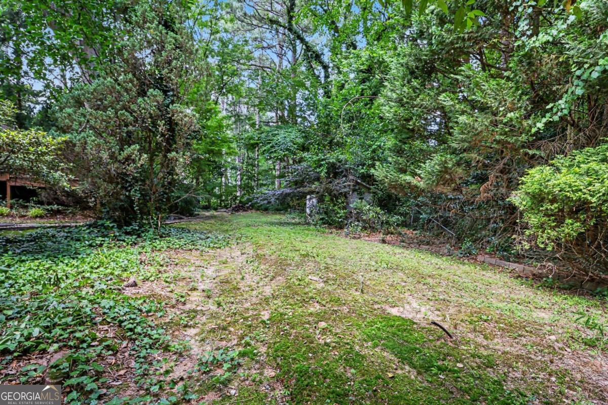 3135 Wanda Woods Drive Property Photo 36