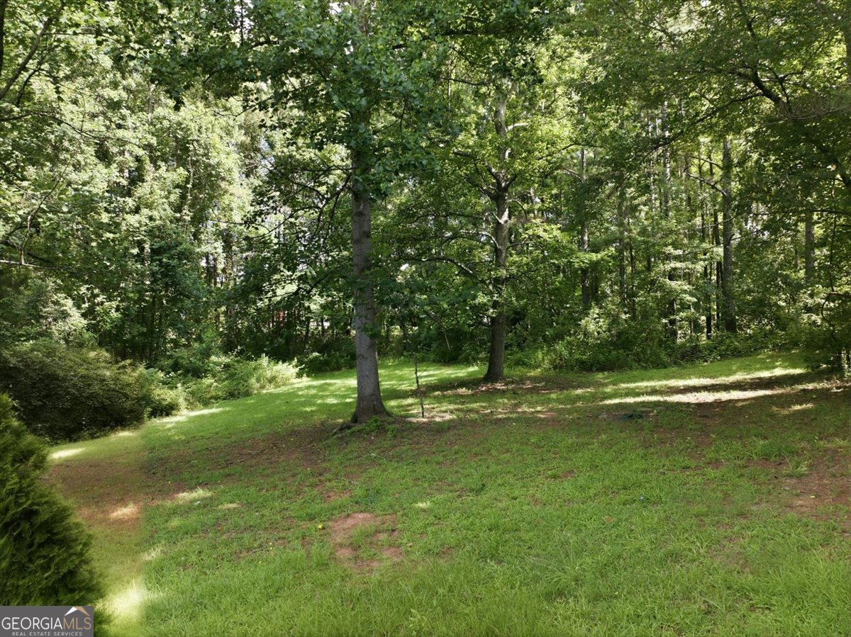 105 Elberta Drive Property Photo 35