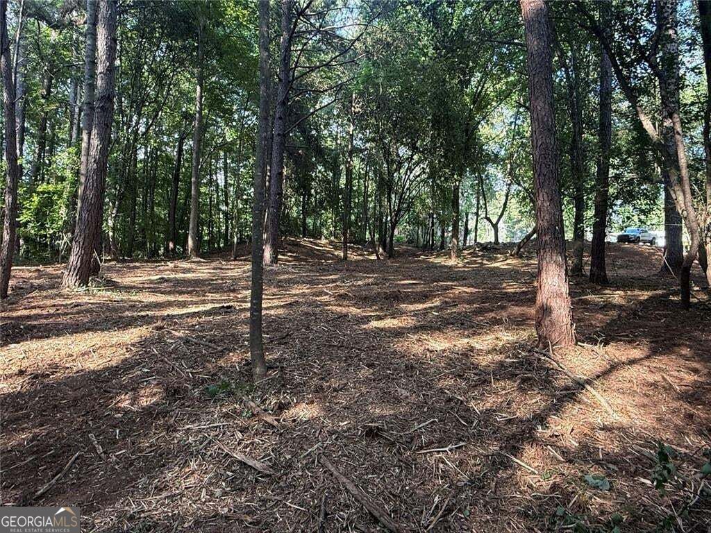 299 Plaza Drive Property Photo 4