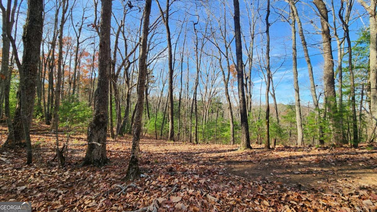 0 Lot 18 Meadowlands Drive Property Photo 9