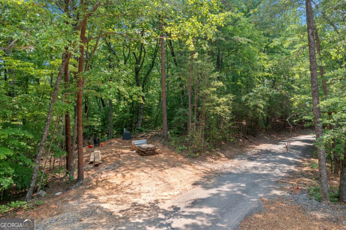 0 Lot 18 Meadowlands Drive Property Photo 11