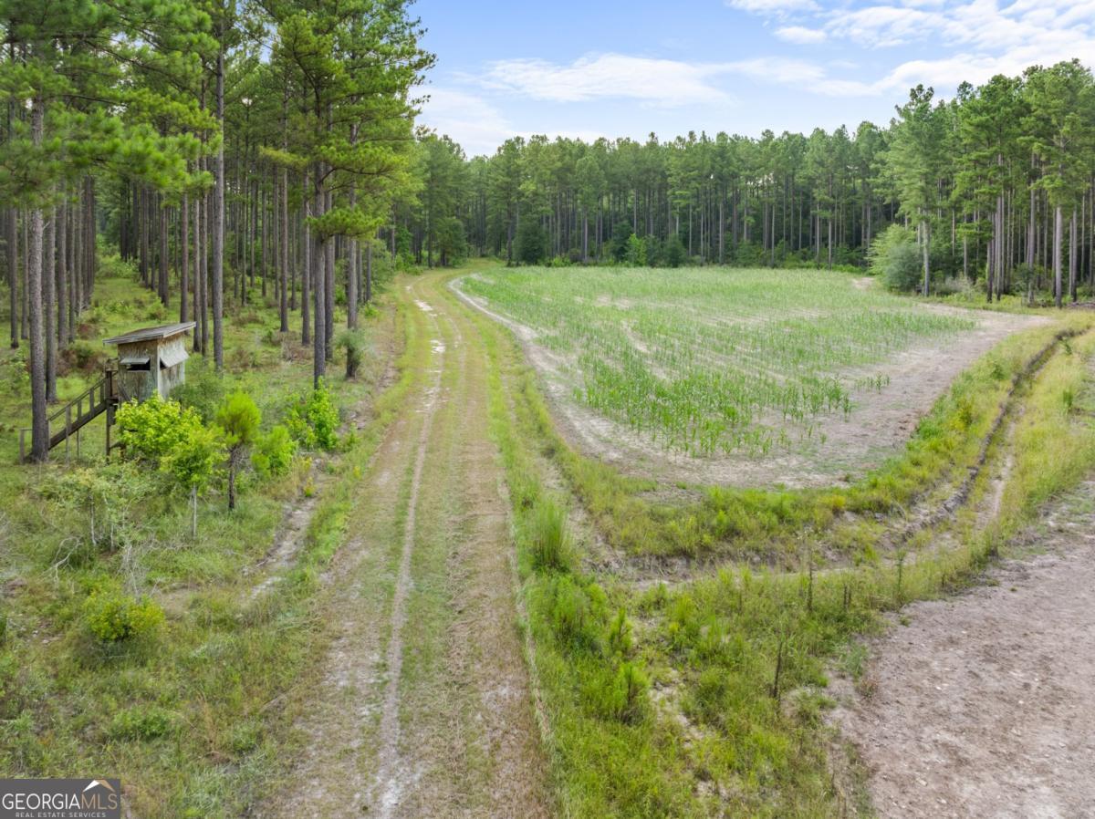 13320 Sunbury Road Property Photo 8
