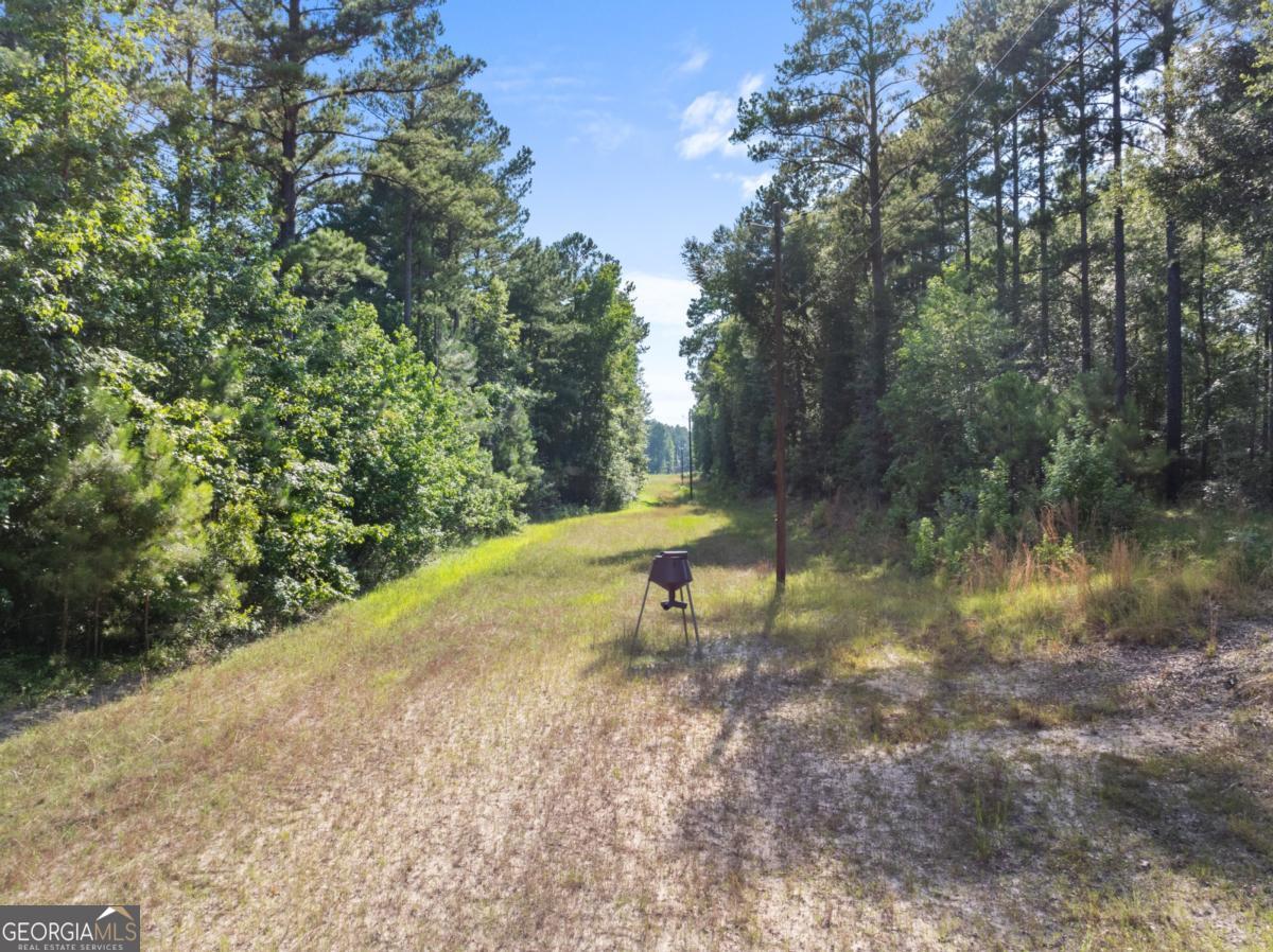 13320 Sunbury Road Property Photo 13