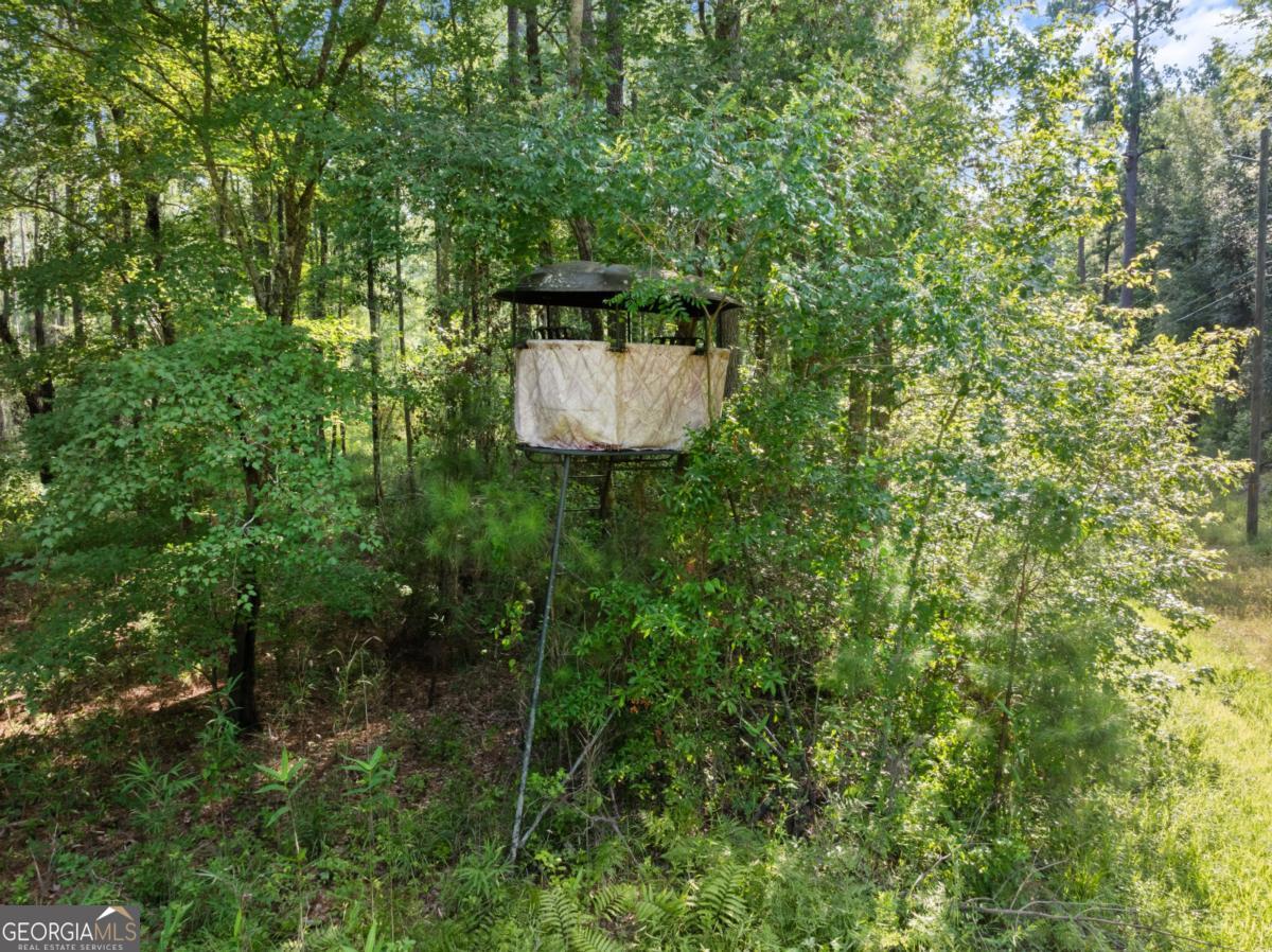 13320 Sunbury Road Property Photo 14