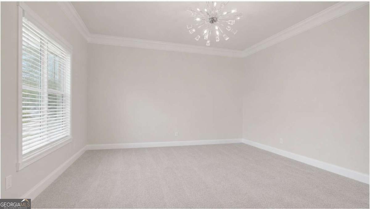 53 Mallard Creek Way Property Photo 12