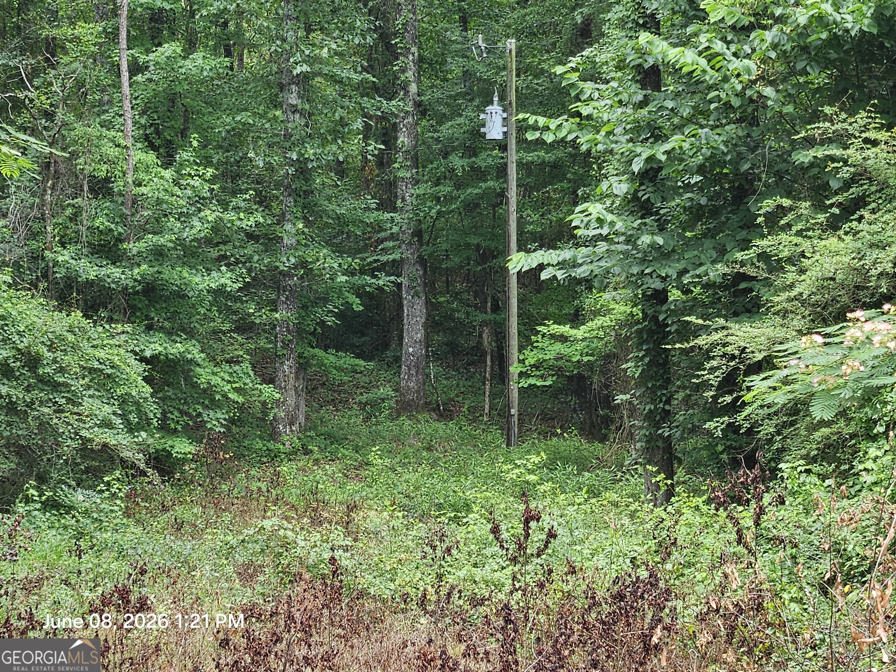 0 Davis Road Property Photo 1