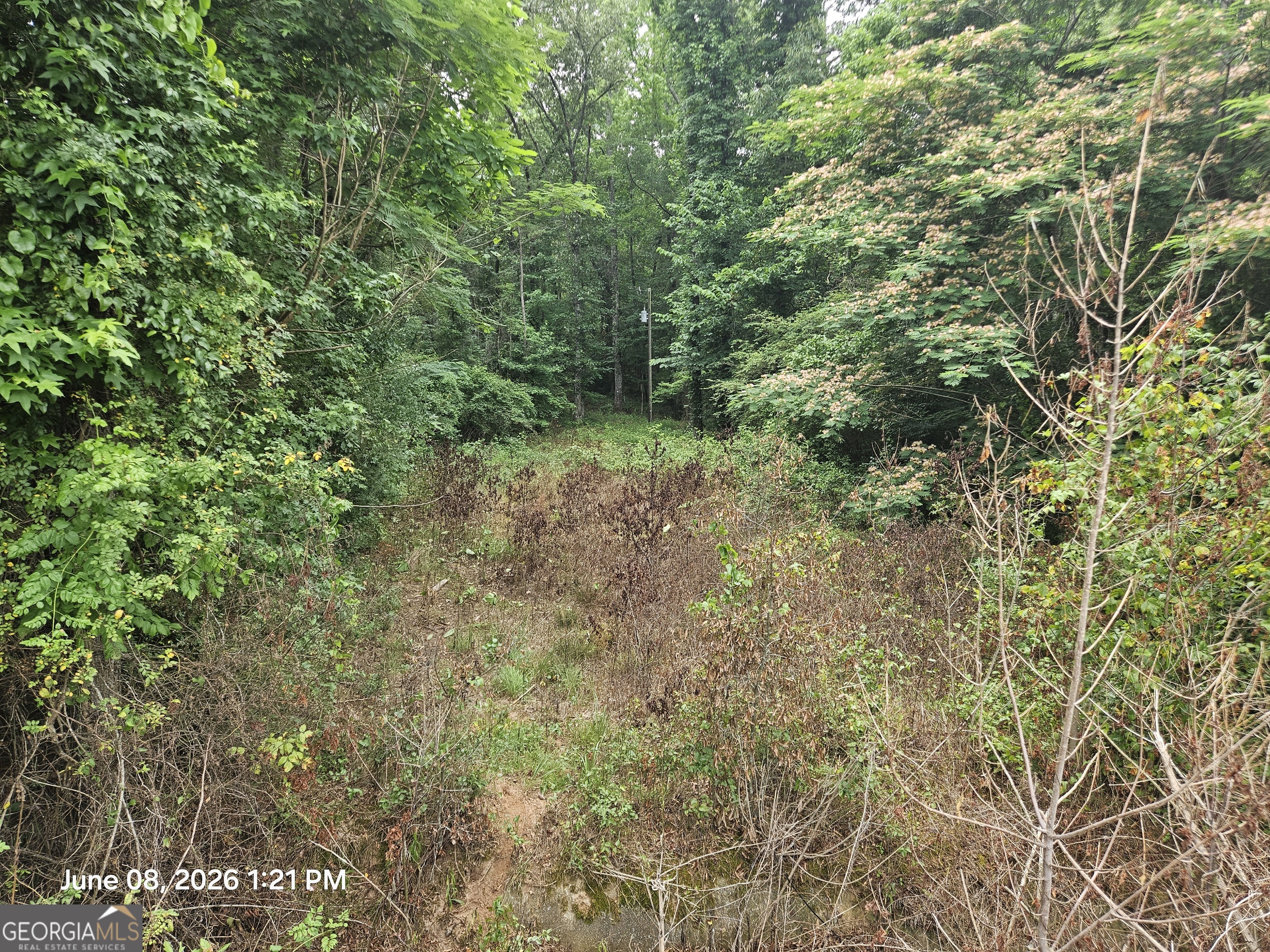 0 Davis Road Property Photo 2