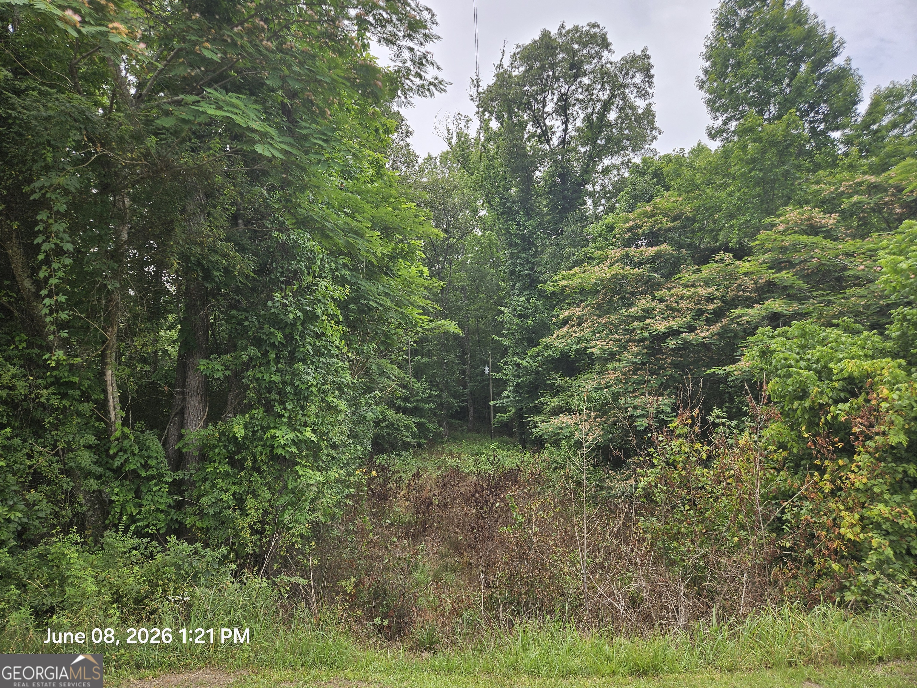 0 Davis Road Property Photo 5