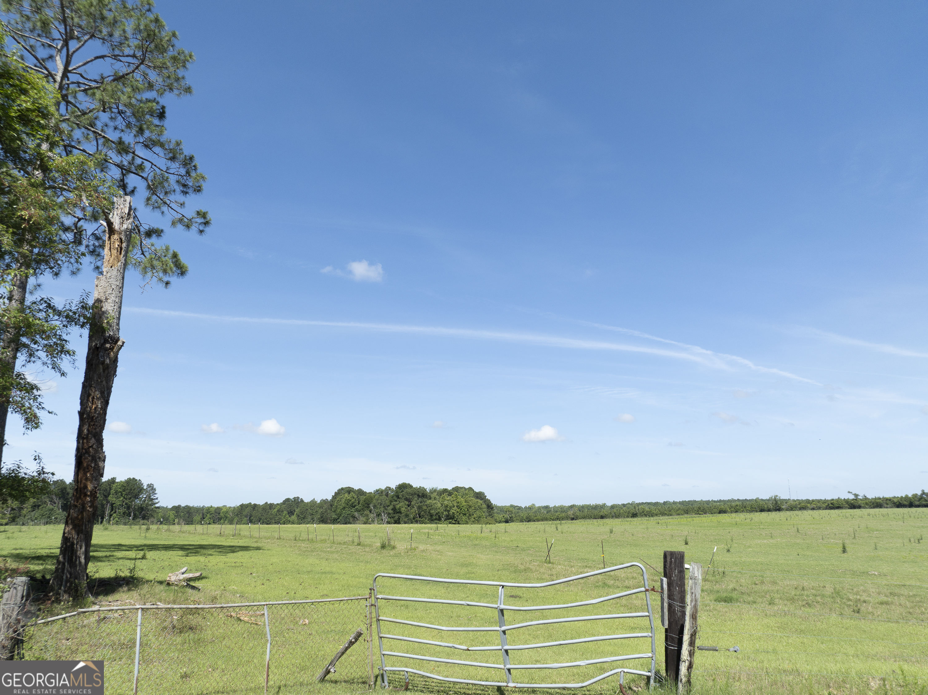 3349 A Scotland Road Property Photo 28