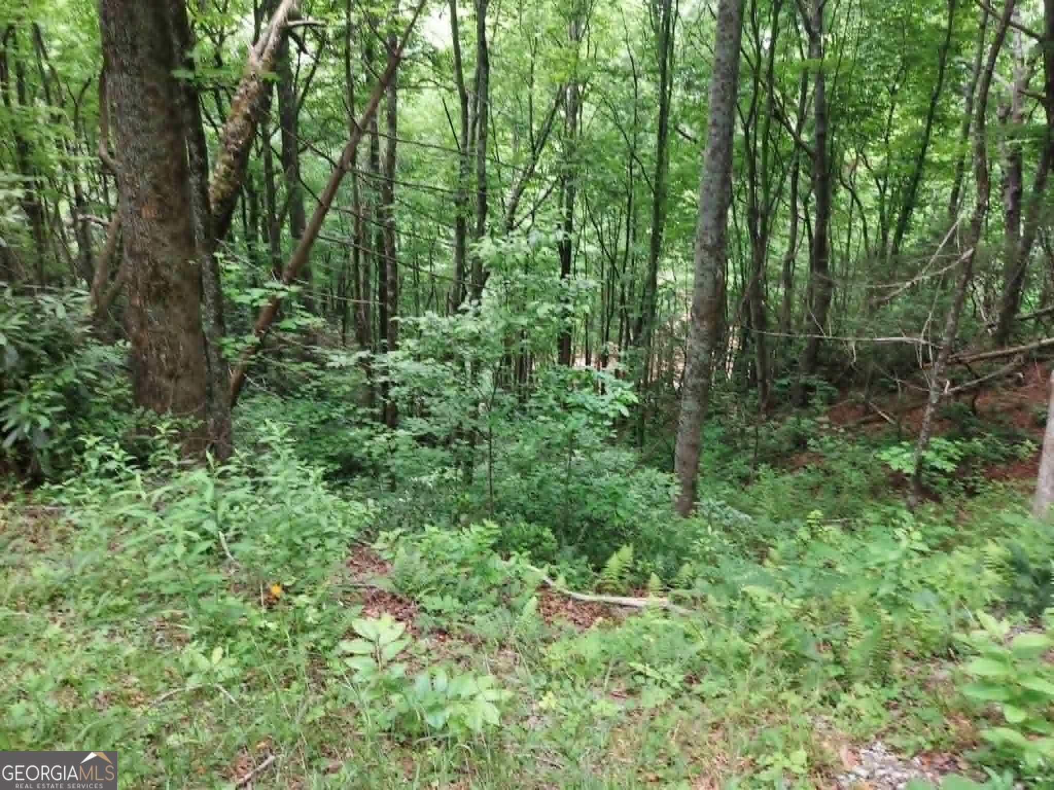 0 Lot 37 Saddleback Circle Property Photo 2