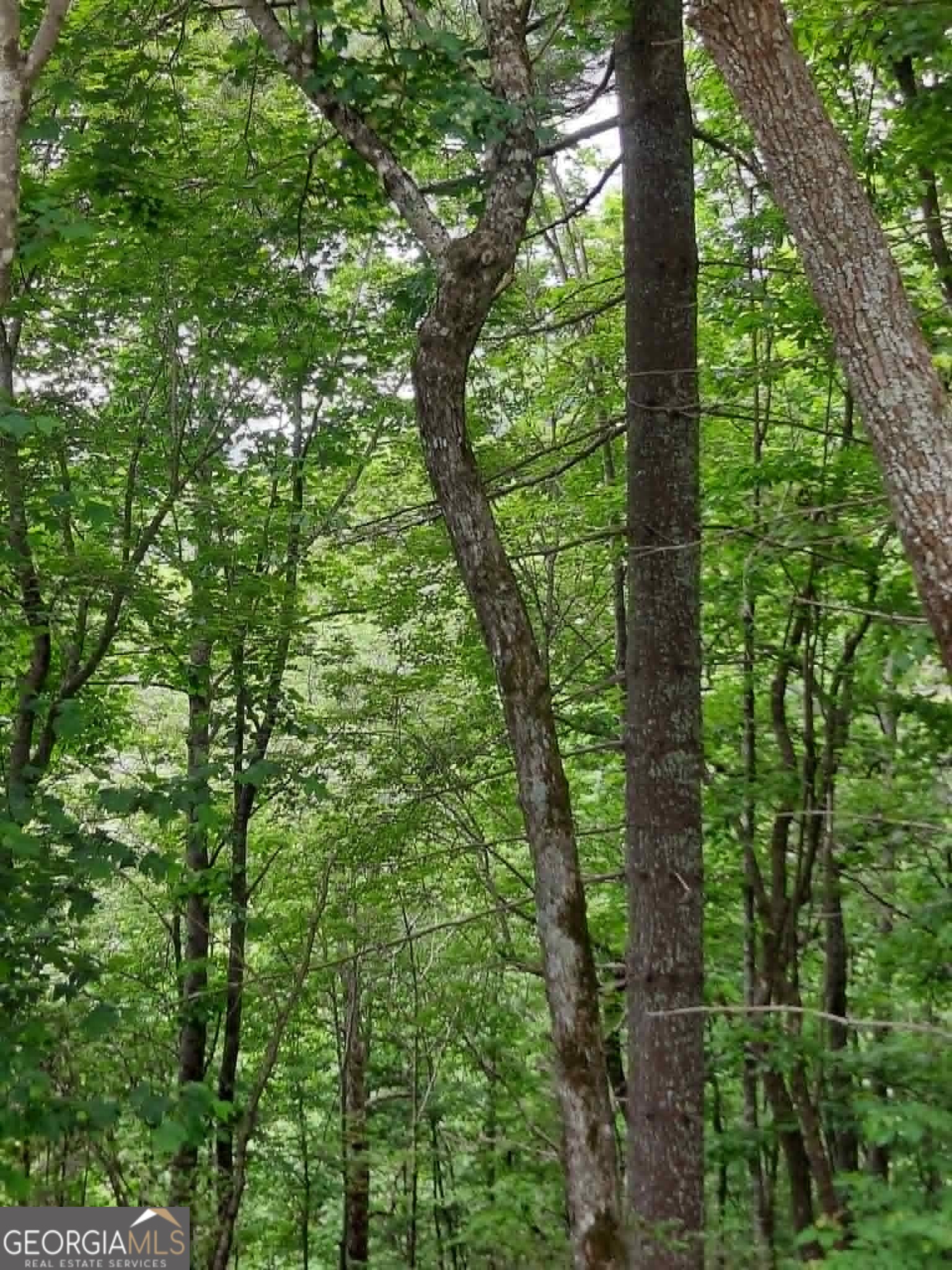 0 Lot 37 Saddleback Circle Property Photo 3