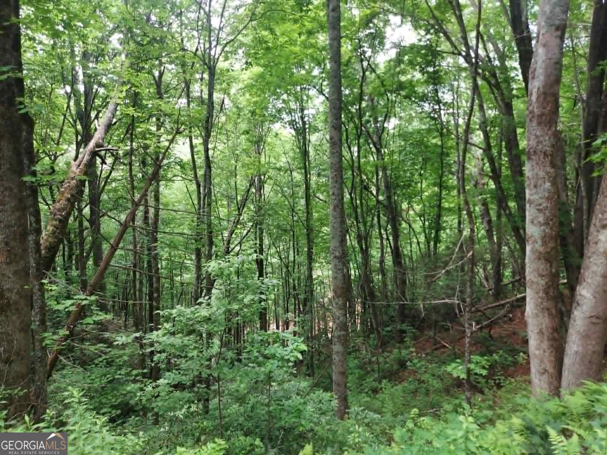 0 Lot 37 Saddleback Circle Property Photo 4
