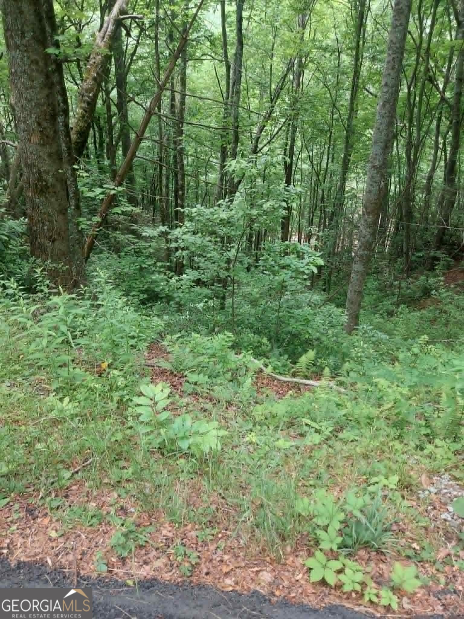 0 Lot 37 Saddleback Circle Property Photo 6