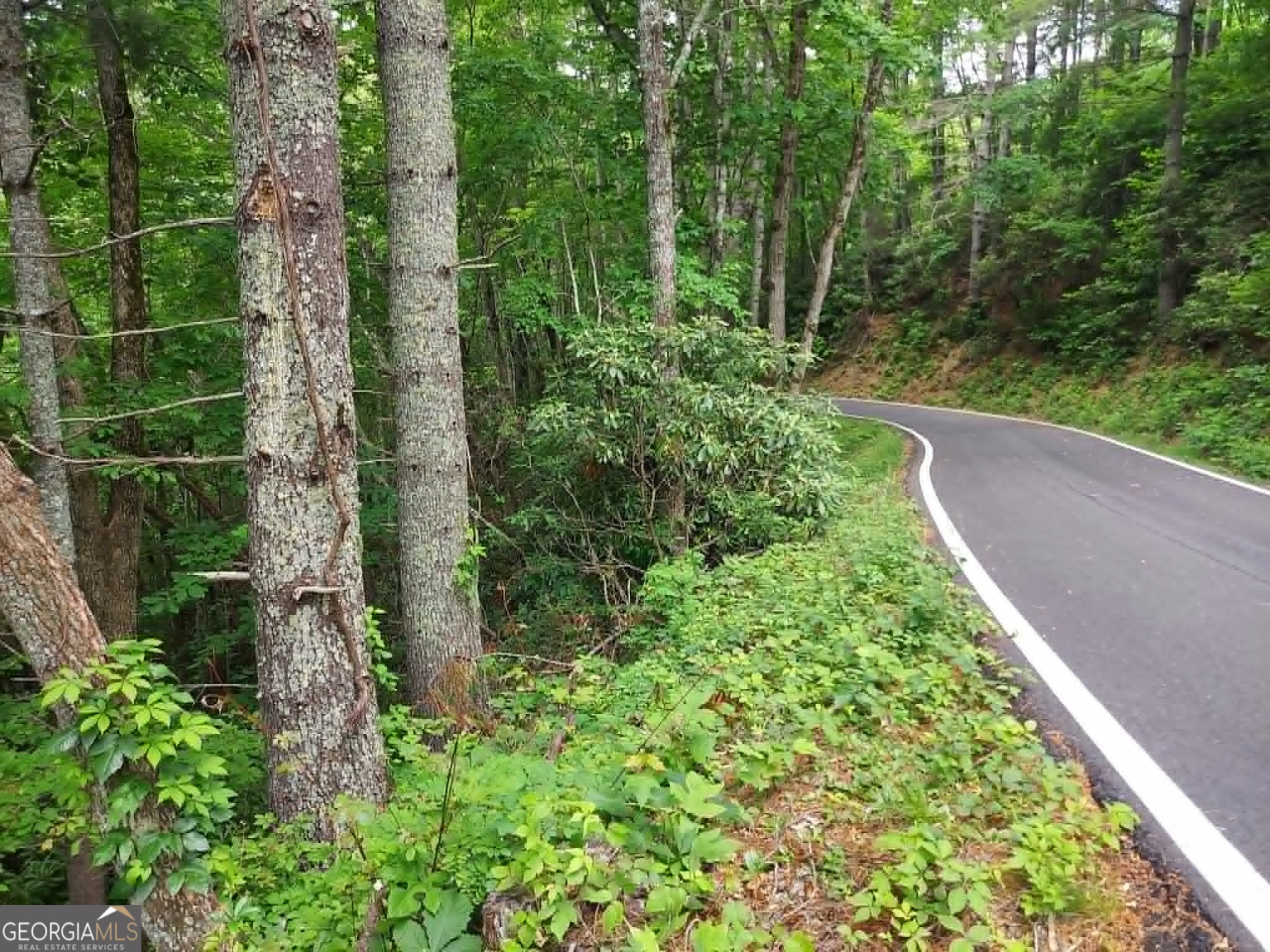 0 Lot 37 Saddleback Circle Property Photo 7