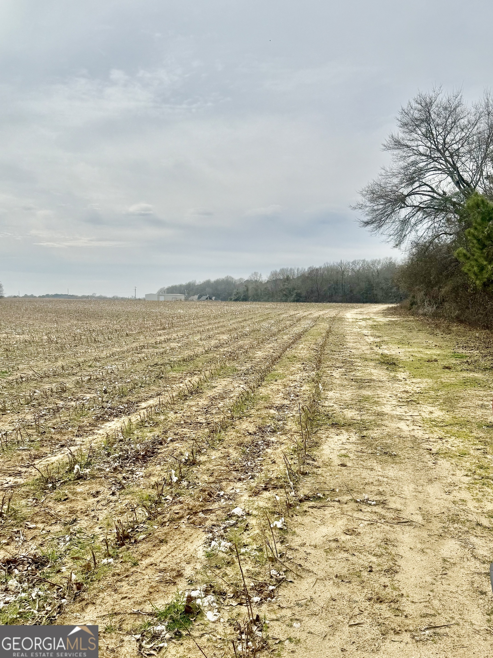 0 Whitfield Road Property Photo 3