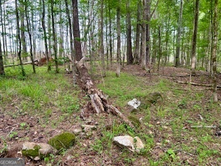 0 Bethany Road Property Photo 18