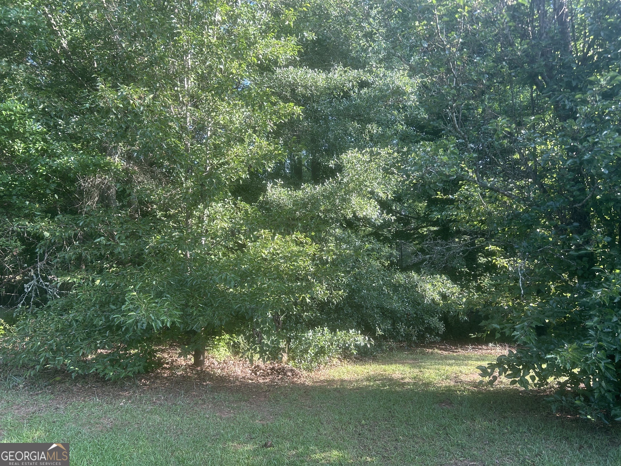 275 Fleeta Drive Property Photo 2