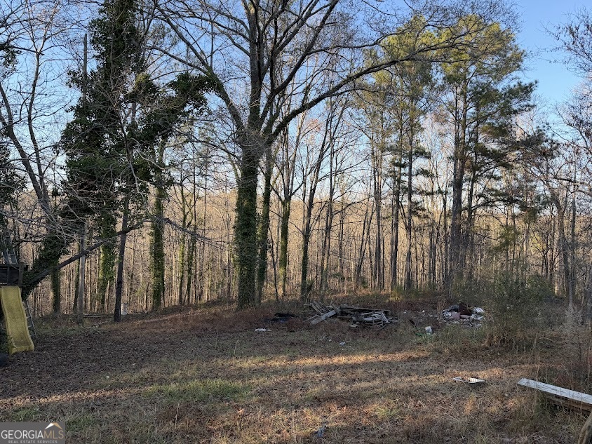 710 Armstrong Mill Road Property Photo 18