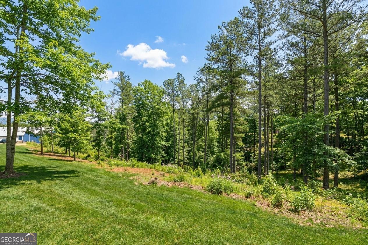 30 Station Gap Property Photo 49