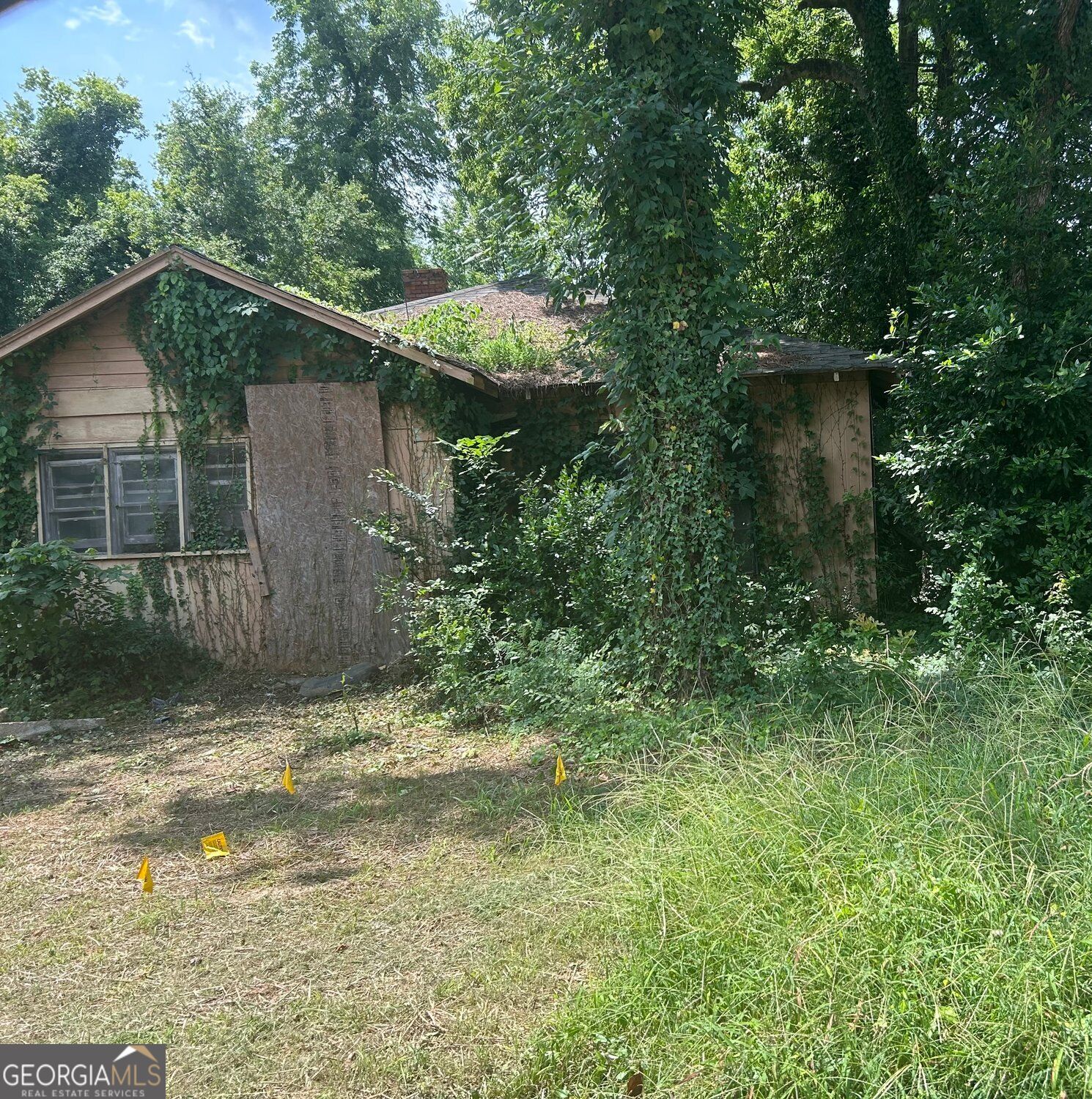 576 Cleveland Street Property Photo 4
