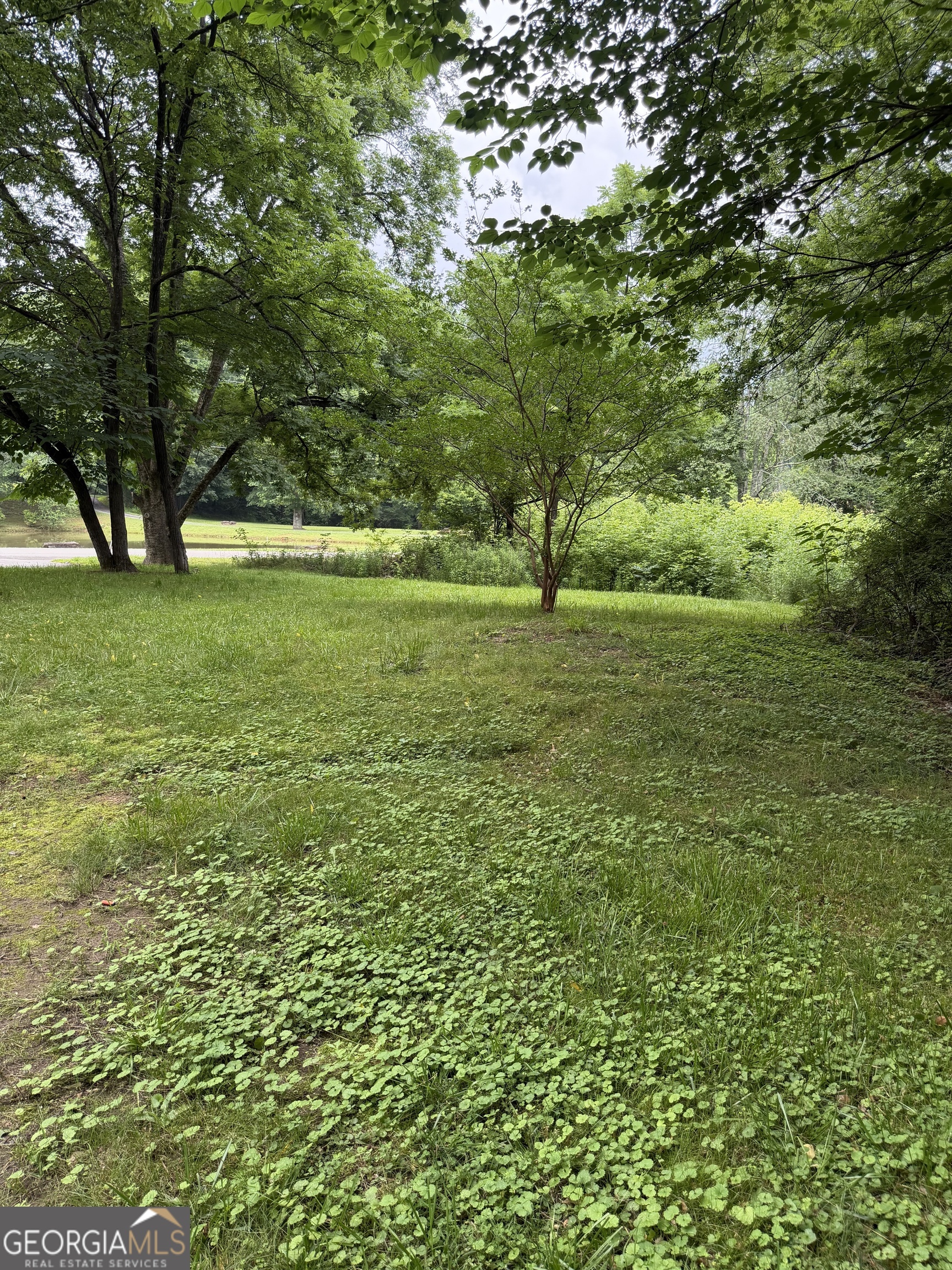 1515 Little Road Property Photo 17