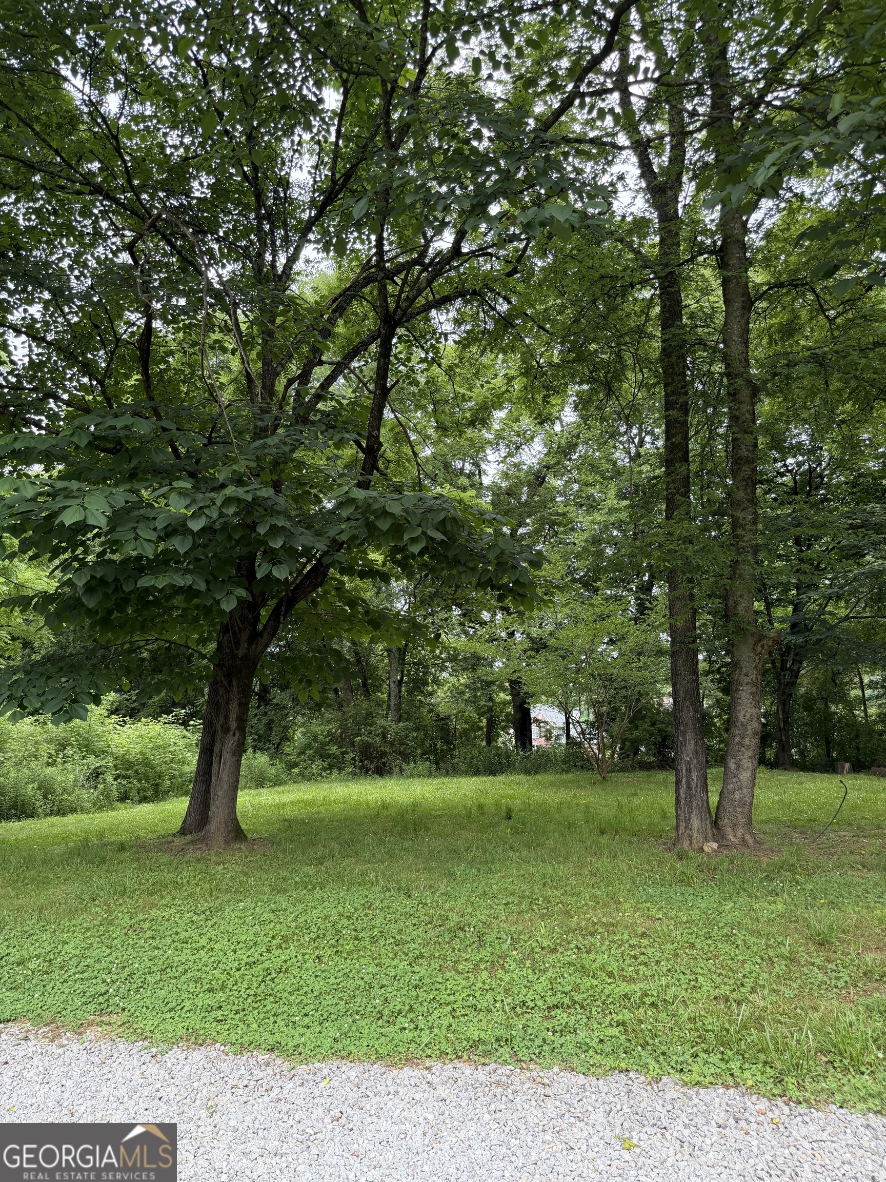 1515 Little Road Property Photo 18