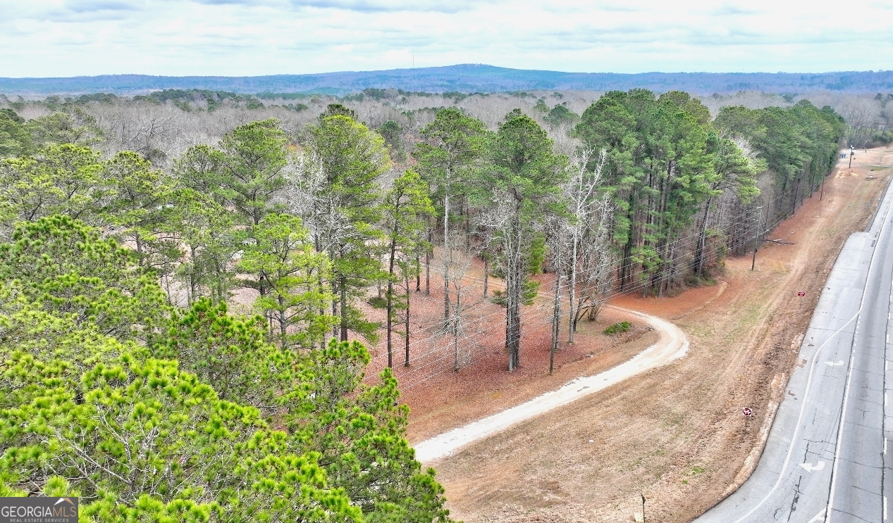 103 Silver Dollar Road Property Photo 5