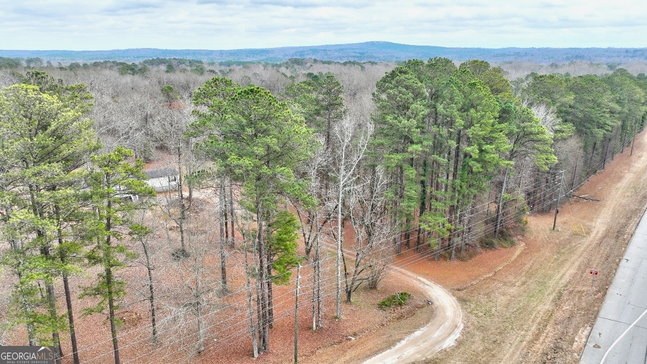 103 Silver Dollar Road Property Photo 6