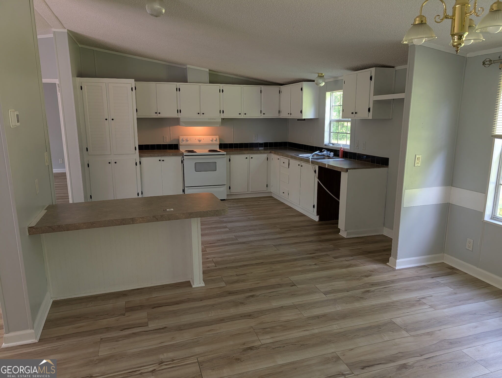 103 Silver Dollar Road Property Photo 15