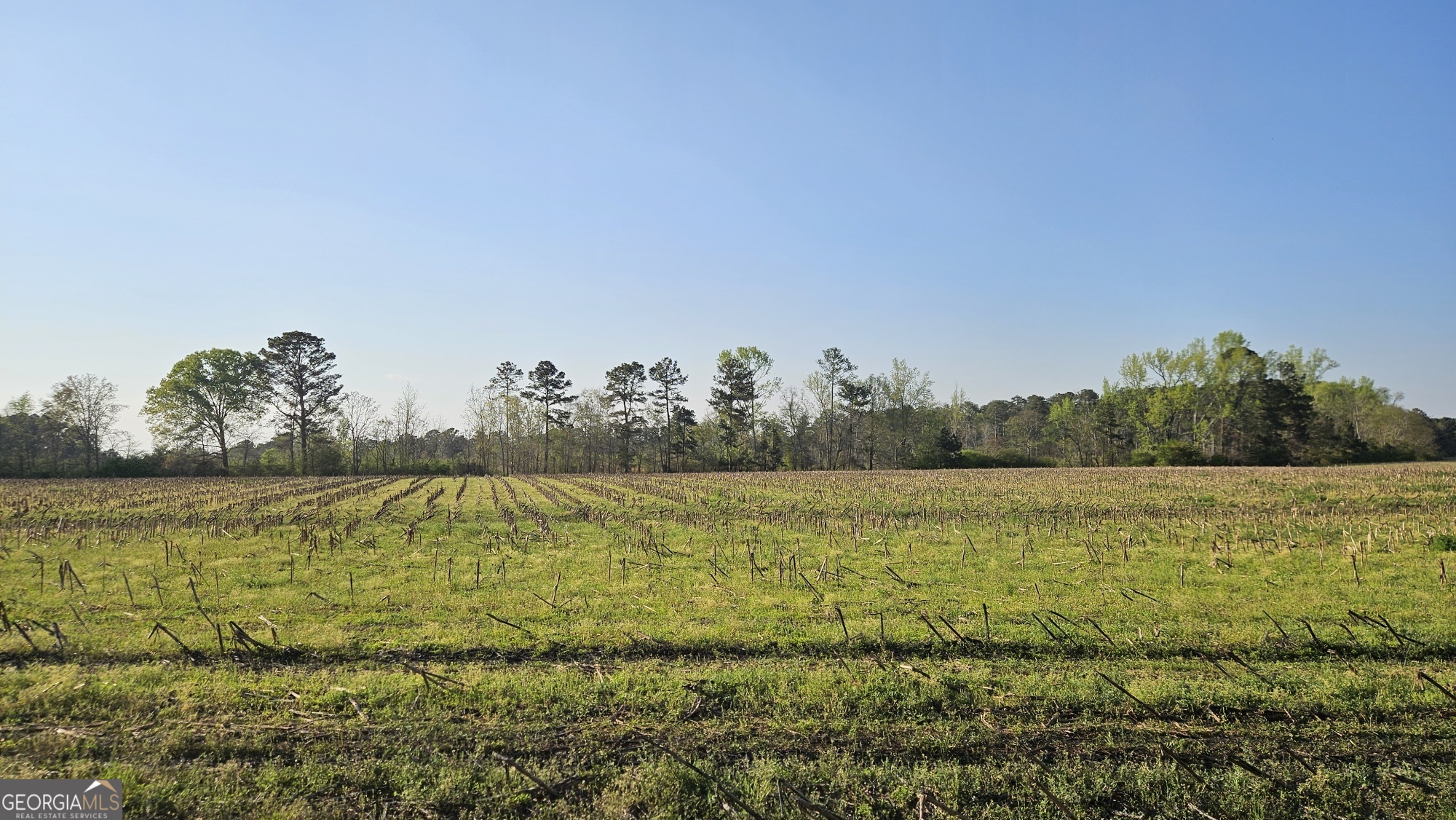 0 Shiloh Road Property Photo 1