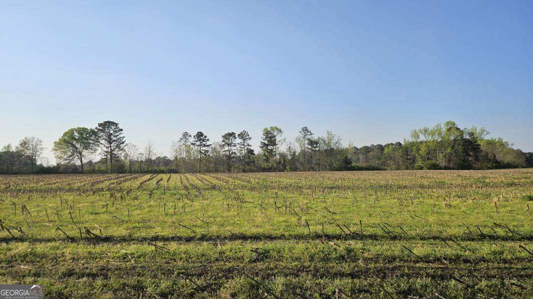 0 Shiloh Road Property Photo 2