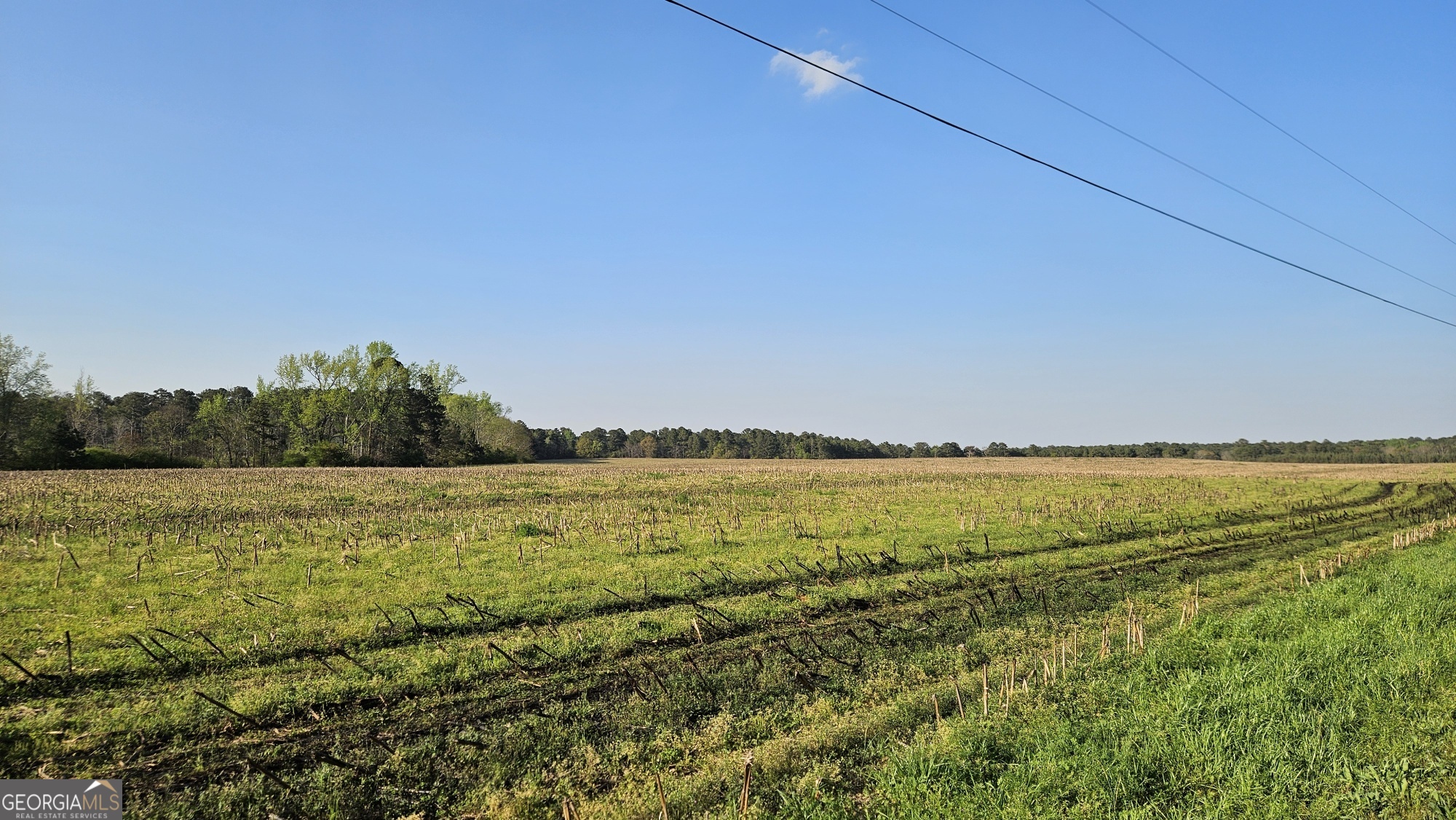 0 Shiloh Road Property Photo 3
