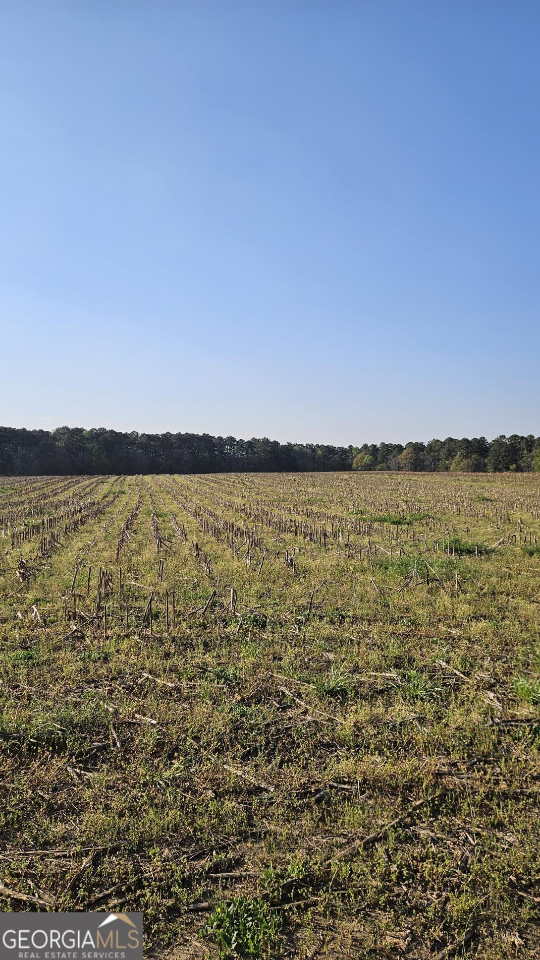 0 Shiloh Road Property Photo 4