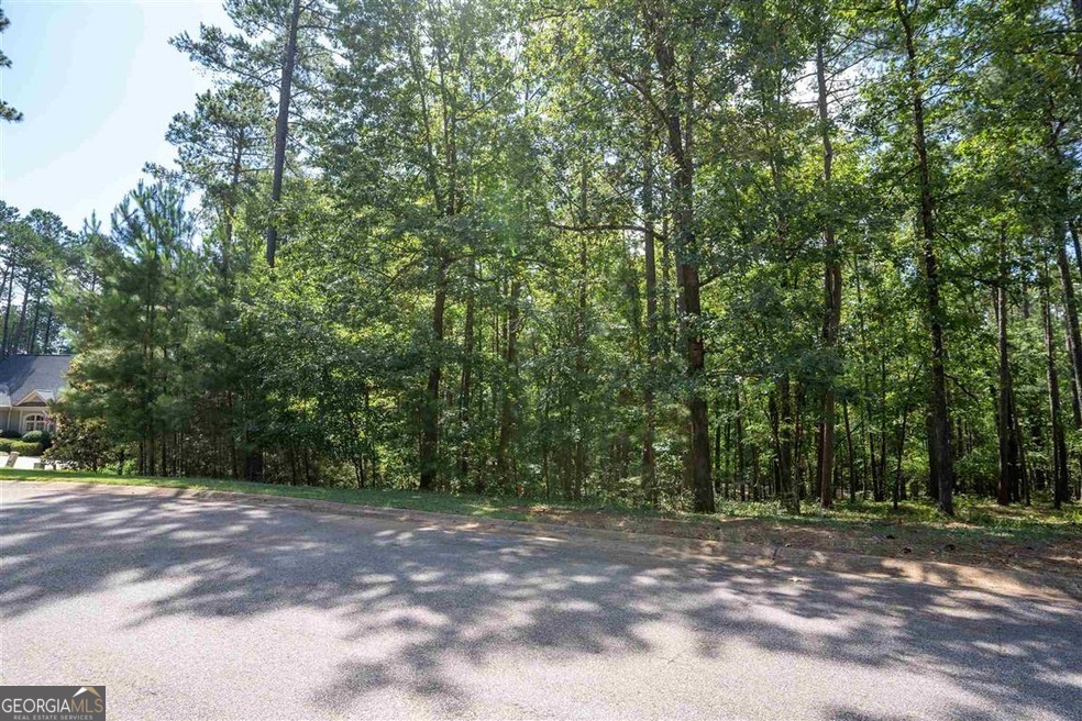 2111 Armors Ford Property Photo 2