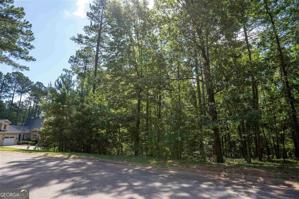2111 Armors Ford Property Photo 3