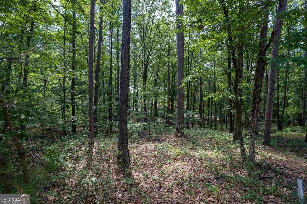 2111 Armors Ford Property Photo 5