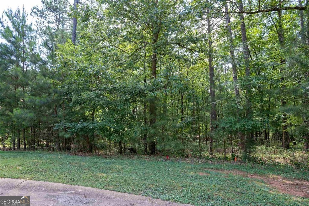 2111 Armors Ford Property Photo 6