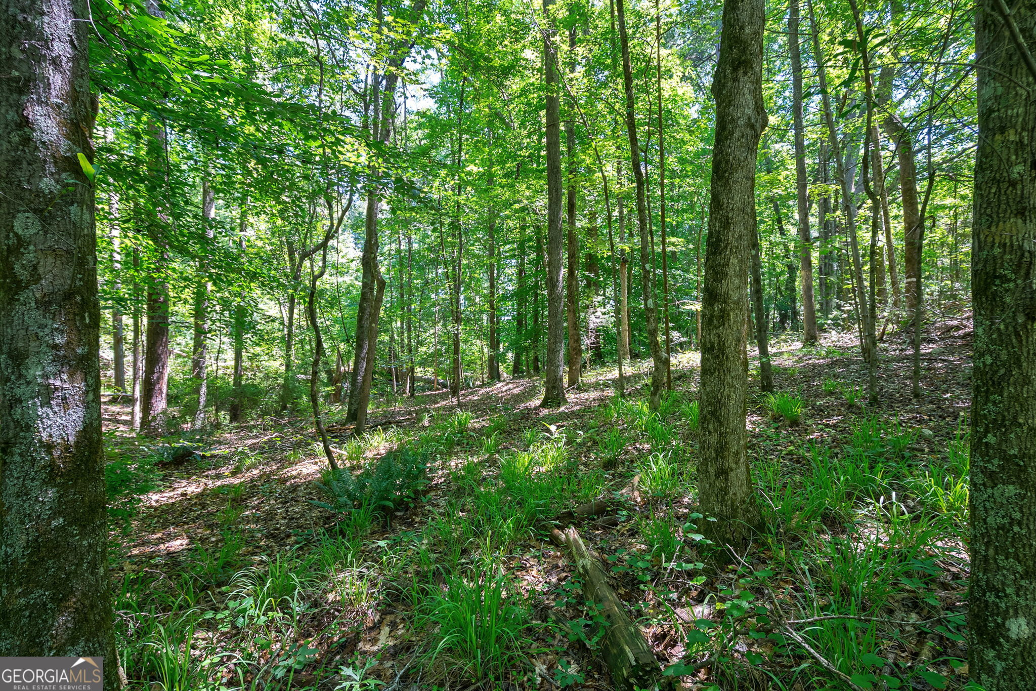 4918 Lower Mill Road Property Photo 10