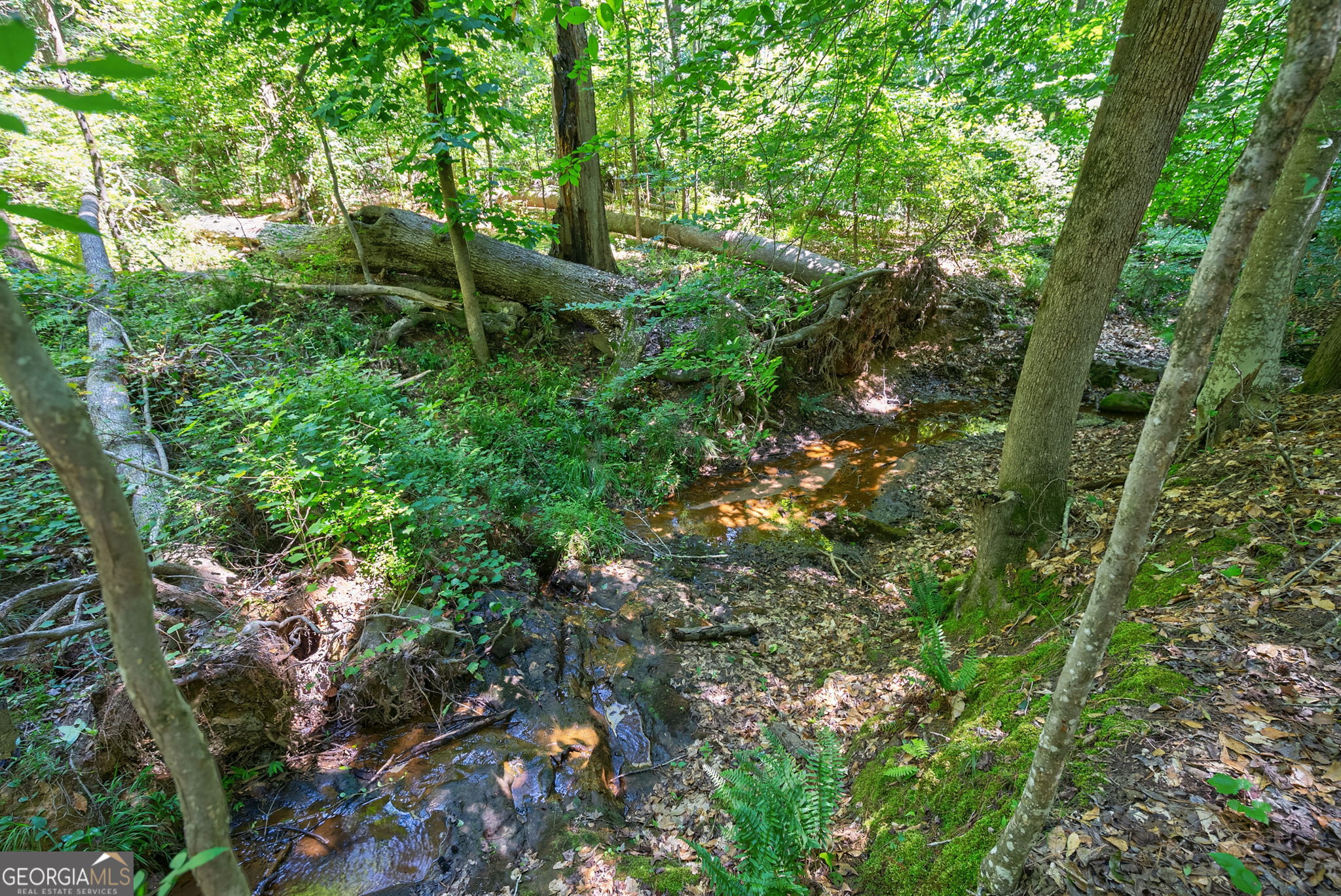 4918 Lower Mill Road Property Photo 11