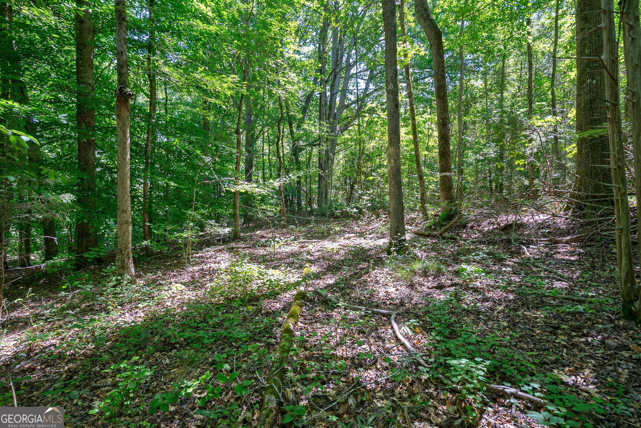 4918 Lower Mill Road Property Photo 16