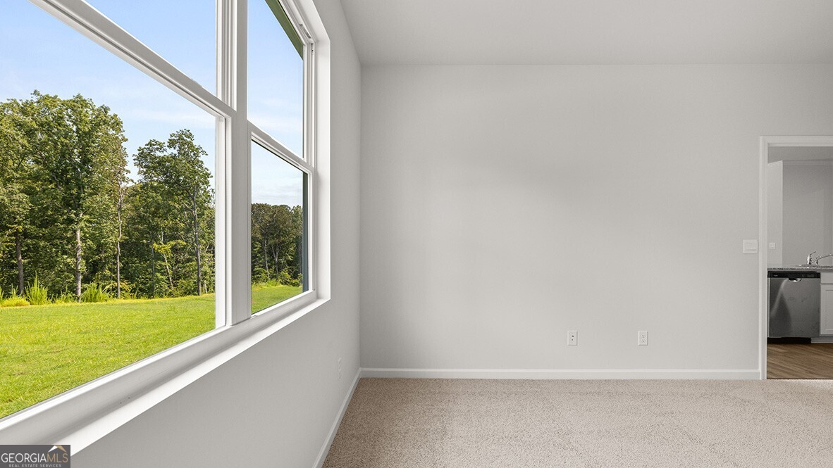 8175 Coldstream Drive Property Photo 18
