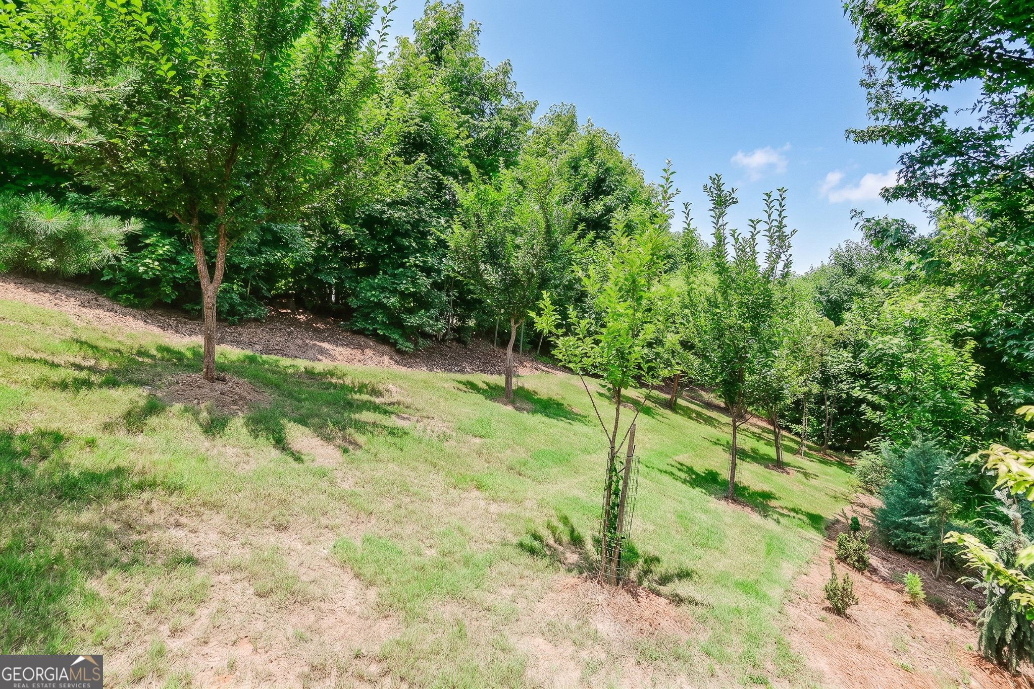 3536 Dockside Shores Drive Property Photo 54