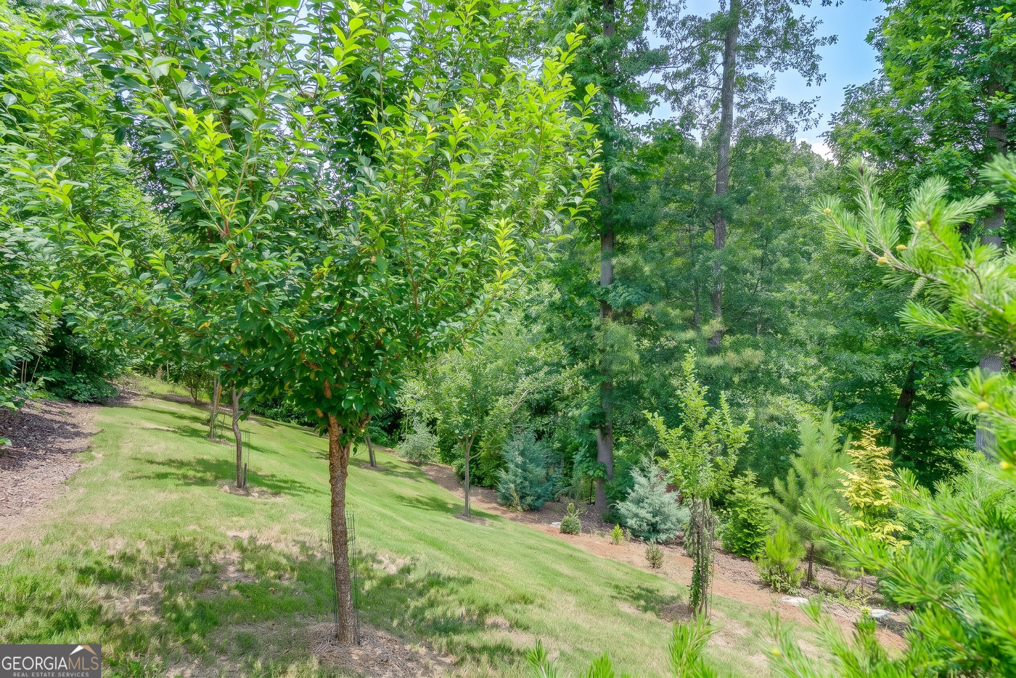 3536 Dockside Shores Drive Property Photo 55
