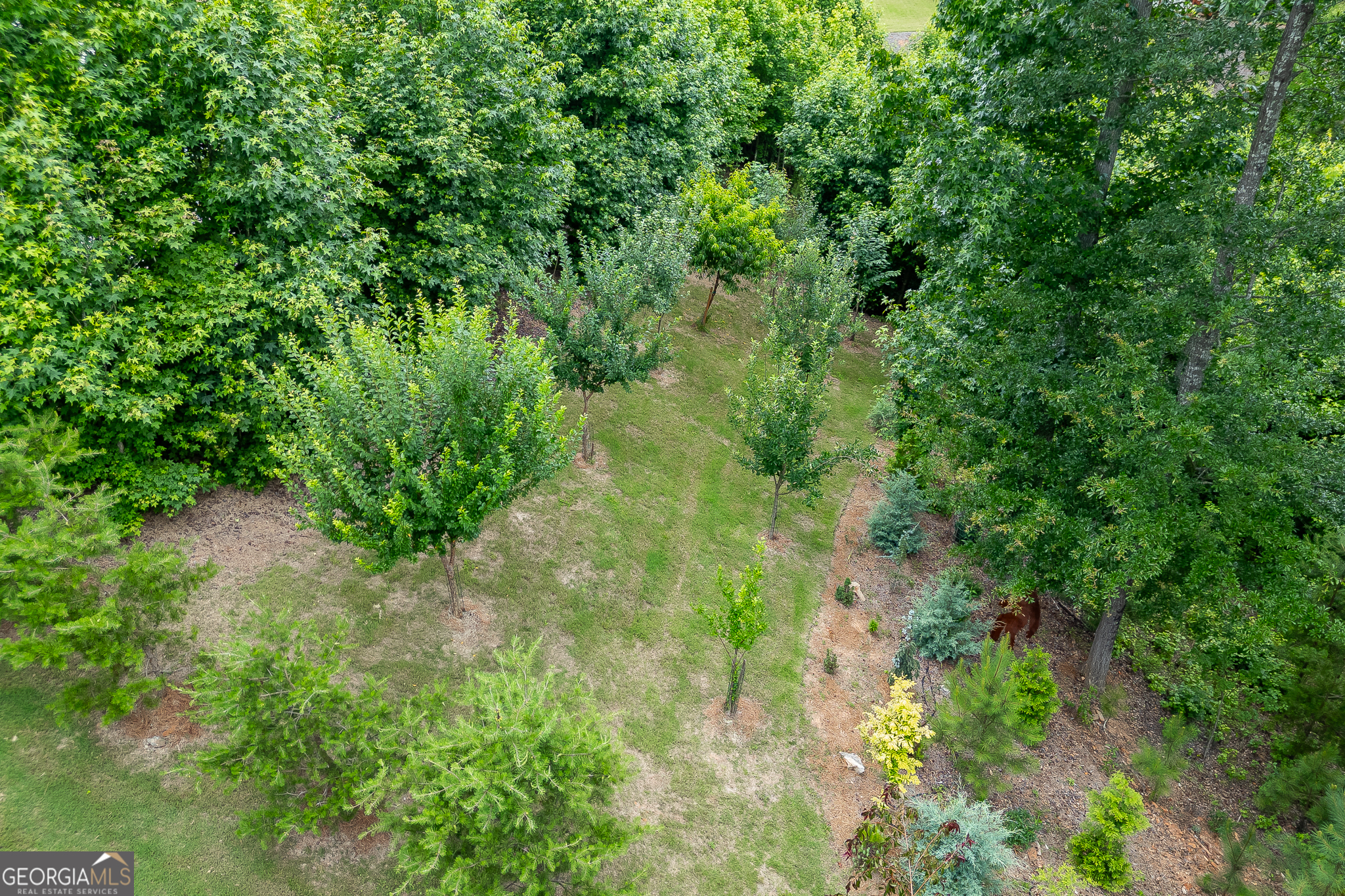 3536 Dockside Shores Drive Property Photo 60