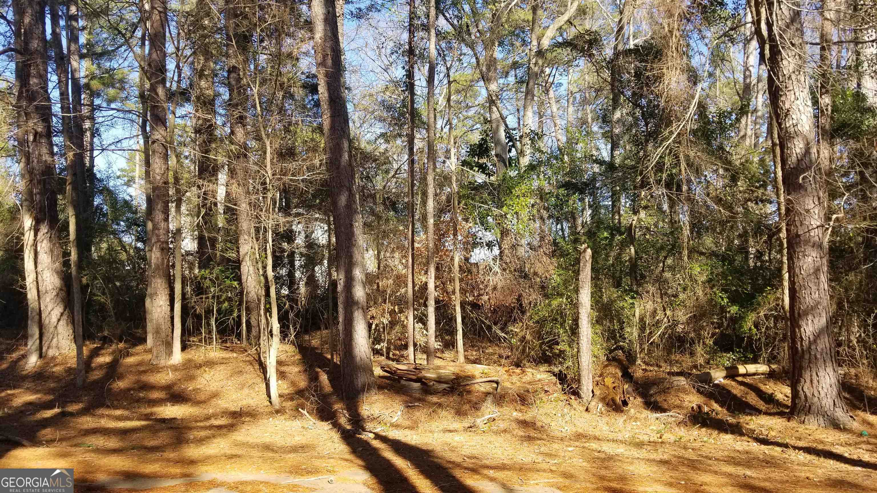 2405 Hi Roc Circle Property Photo 4