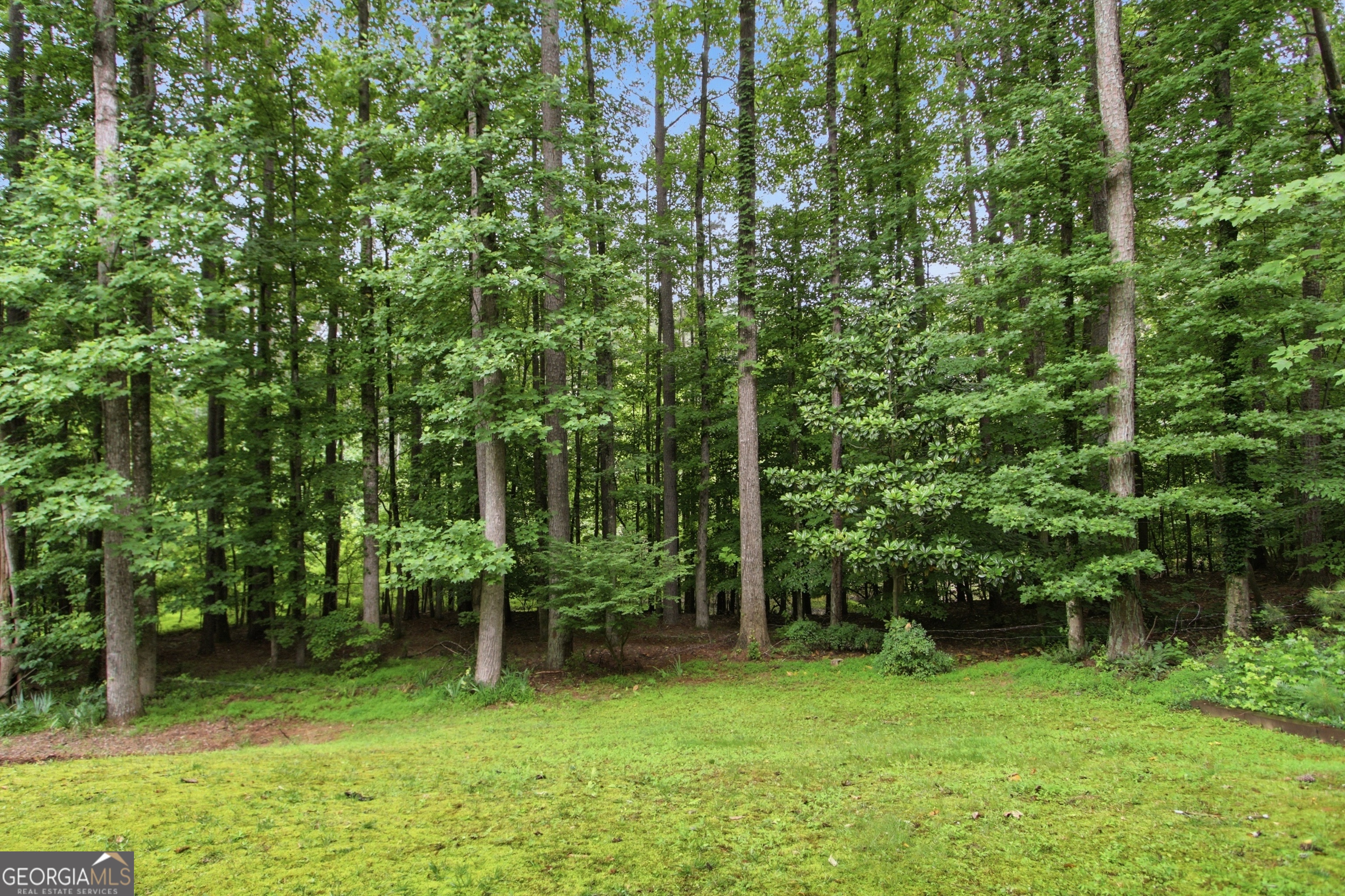 11715 Dunhill Place Drive Property Photo 44