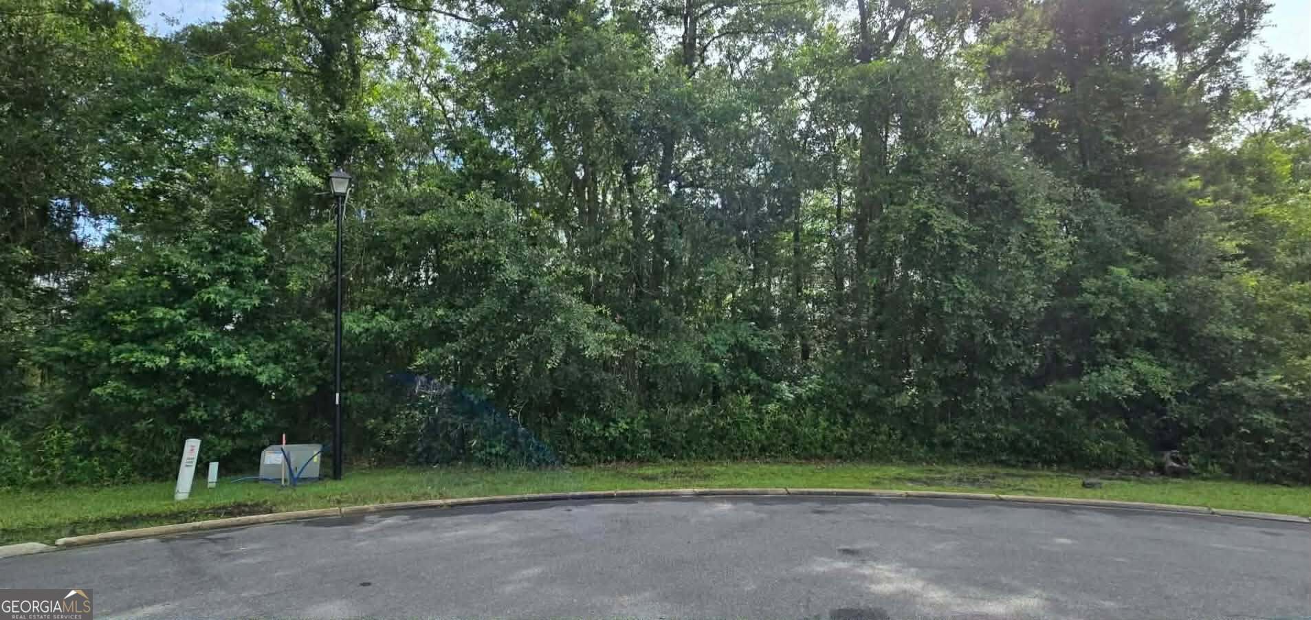 0 Justin Cole Drive Property Photo 4