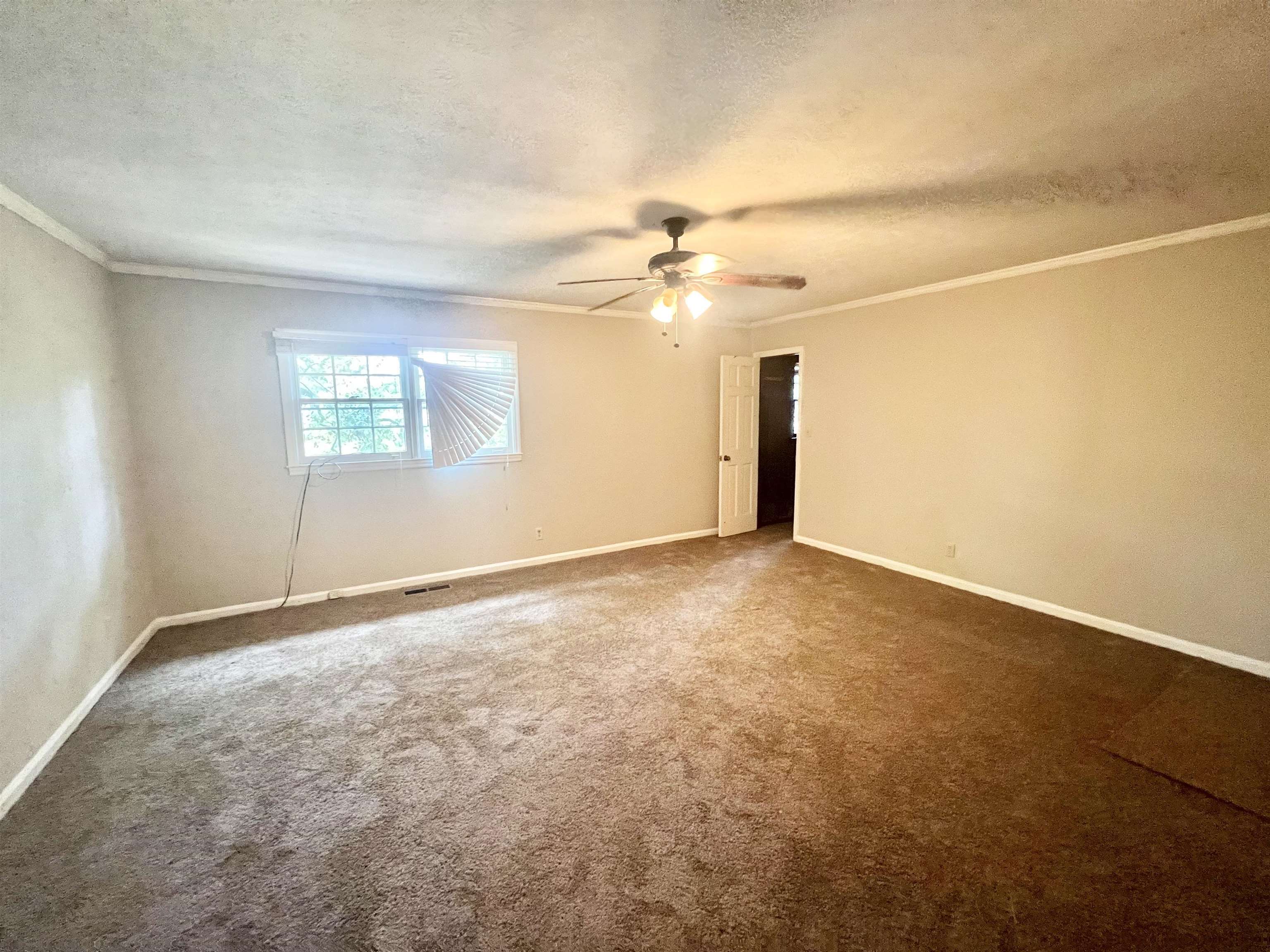 300 Springdale Drive Property Photo 7