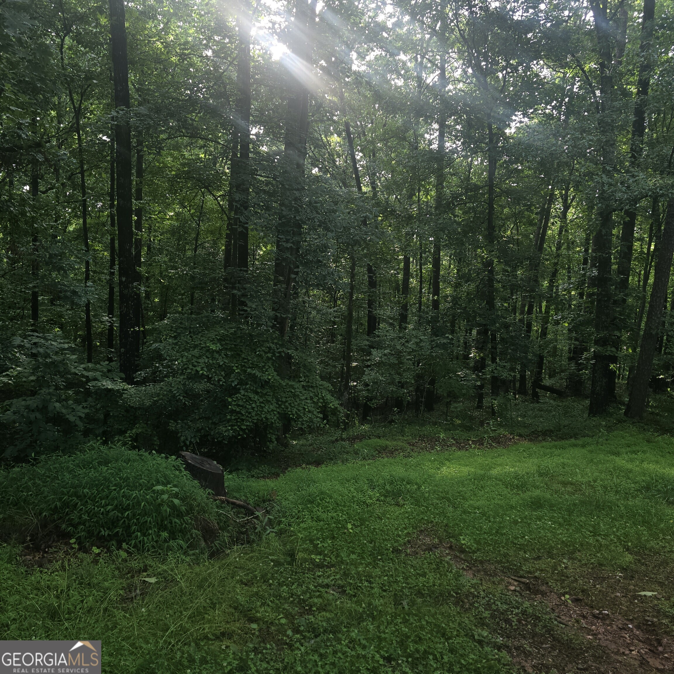 585 Lee Drive Property Photo 35